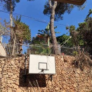 אדם גוזם ענפים בעזרת מסור על עץ גבוה