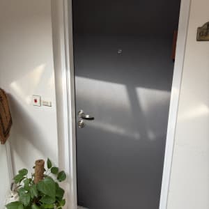 דלת אפורה עם ידית כסופה וצמח ליד