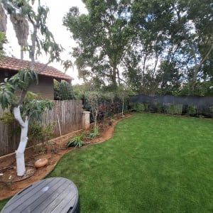 גינה מטופחת עם דשא ועצים מסביב