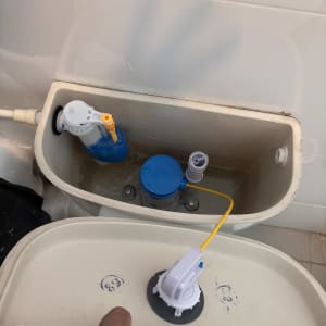 תמונה של מיכל שירותים פתוח עם חלקים פנימיים