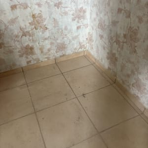 רצפה מלוכלכת עם אבק בפינת חדר