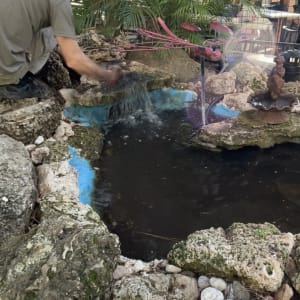 אדם עובד על בריכת דגים עם צמחייה מסביב