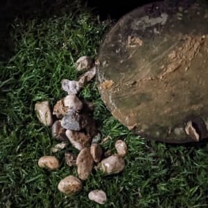 פתח ביוב מכוסה בוץ ואבנים על דשא