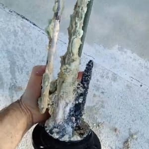 חוטי חשמל עם קורוזיה ביד אדם