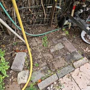 צינור צהוב וירוק על אדמה עם צמחייה