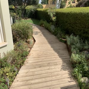 שביל עץ בגינה עם צמחייה מסביב