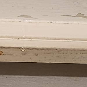 טפטוף מים על קיר עם סימני רטיבות