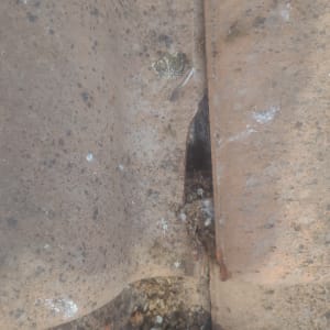 חלקי דוד שמש עם חלודה ולכלוך