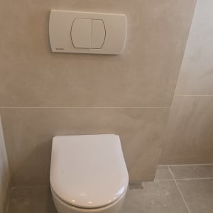 אסלה תלויה עם לחצן הדחה וצמח קטן