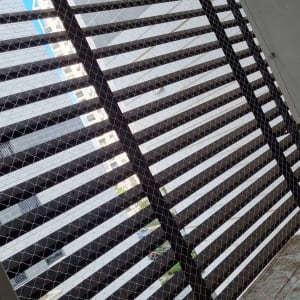 רשת למניעת כניסת יונים במרפסת