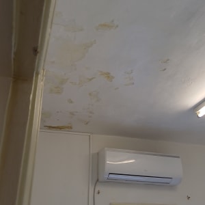 תקרה עם קילופי צבע וכתמים