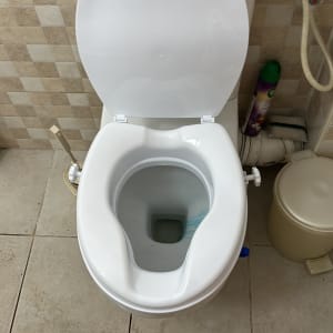 אסלה פתוחה עם נייר טואלט ומברשת ניקוי