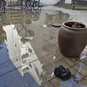 שלולית גדולה על המדרכה ליד עציץ גדול