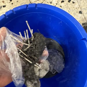 יד עם כפפה מחזיקה לכלוך ודברים מתוך דלי כחול