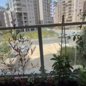 עציצים על אדן חלון עם נוף לבניינים
