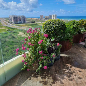 עציצים עם פרחים ורודים ועץ קטן במרפסת