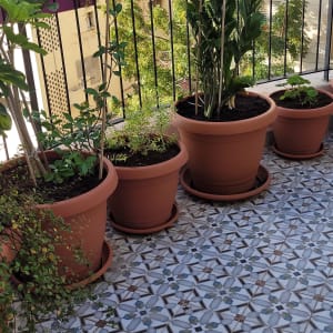 עציצים עם צמחים על מרפסת עם רצפה מעוצבת