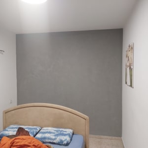 קיר צבוע בגוון אפור בחדר שינה