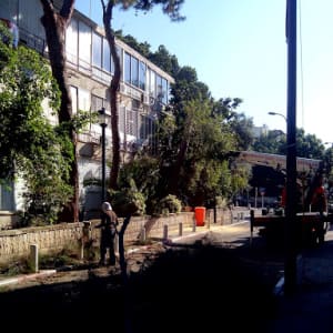 אדם גוזם עצים ברחוב עם ענפים על הקרקע