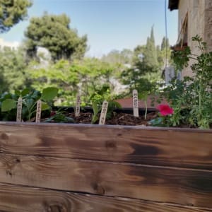 עציצים עם צמחים ותגיות עץ בגינה