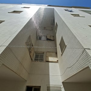 רשת יונים מותקנת על בניין גבוה