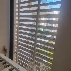 רשת על חלון למניעת כניסת יונים