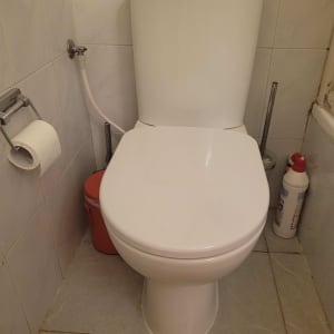 אסלה עם נייר טואלט ומוצרי ניקוי