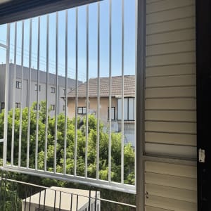 סורגי מתכת על חלון עם נוף חיצוני