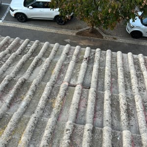 גג רעפים עם חזית רחוב ועצים ברקע