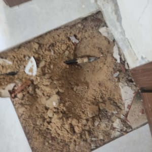 אזור חפור עם צינור חשוף בעבודת אינסטלציה