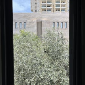 חלון עם כתם על הזכוכית, עצים ברקע