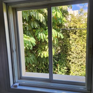 חלון אלומיניום עם נוף לצמחייה ירוקה בחוץ