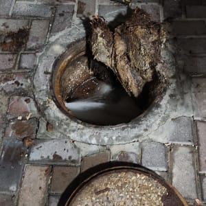 פתח ביוב פתוח עם שורשים וכלי עבודה