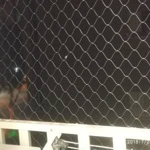 רשת חזקה שלא נראית בכלל ולא מסתירה את הנוף