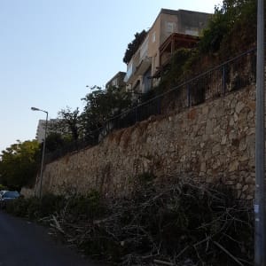 ערימת ענפים גזומים לצד כביש