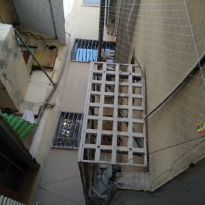 רשת למניעת כניסת יונים בין בניינים