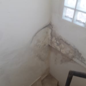 קיר עם קילופי צבע ופגמים