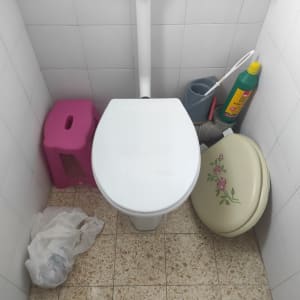 מושב אסלה, חומר ניקוי, מברשת שירותים, שרפרף ורוד