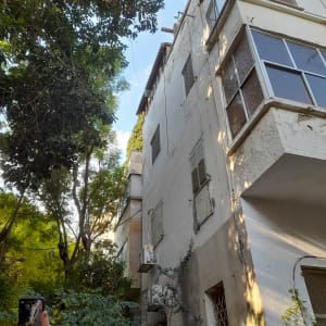 A person holding a phone near a tree next to a building.
