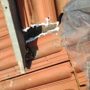 רשת מתכת מותקנת על גג רעפים למניעת כניסת יונים