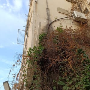 קיר חיצוני עם צמחייה מטפסת ומזגן