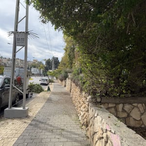 שביל עם עצים ושיחים בצד הדרך