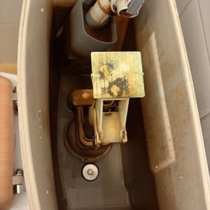 מיכל הדחה עם חלקים פנימיים, מתאים לתחום האינסטלציה