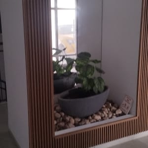 פינת צמחים עם מראה וקיר עץ דקורטיבי