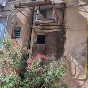 תמונה אינה מציגה עבודה בתחום