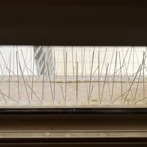 דוקרנים למניעת יונים על אדן חלון