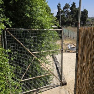 שער מתכת ליד גדר במרחב חיצוני עם צמחייה