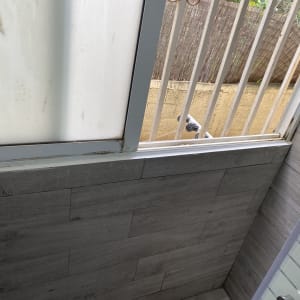 חדר מקלחת עם קיר אריחים וחלון מטושטש