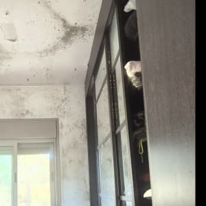 נזקי רטיבות ועובש קשים בתקרה ובקיר בחדר שינה