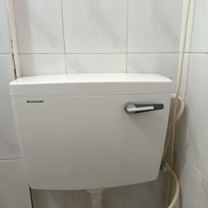 ניאגרה לבנה עם צינור מים מחובר